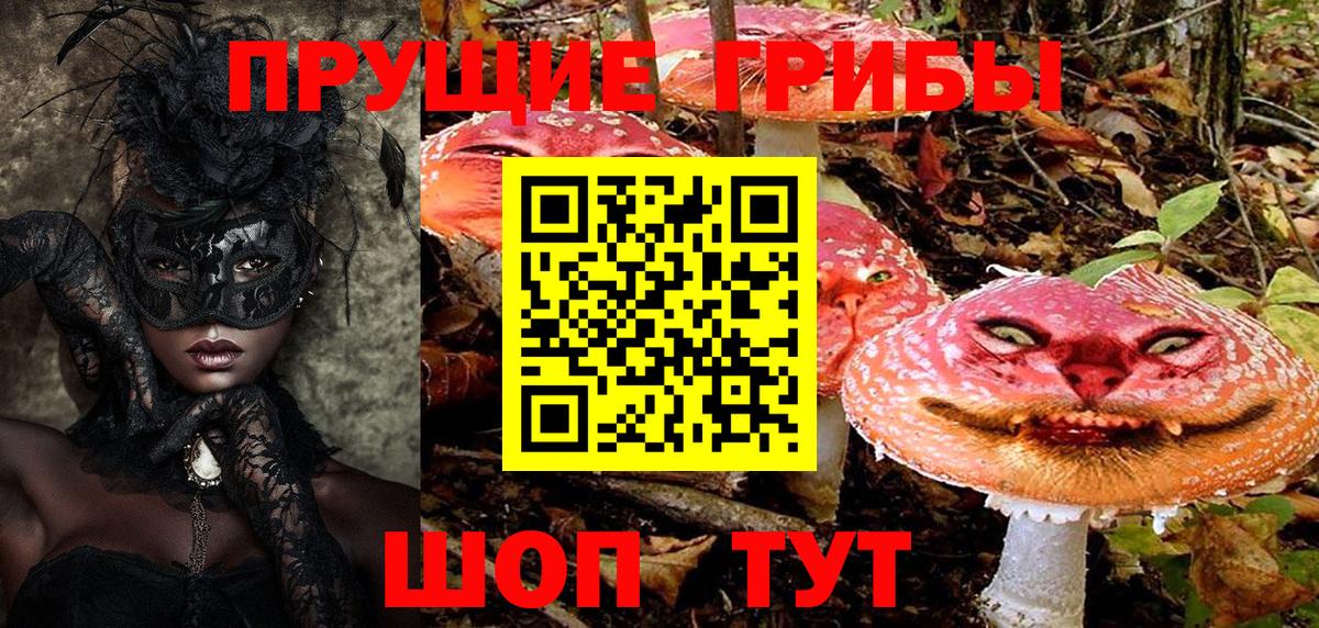 Галлюциногенные грибы GOLDEN TEACHER Выборг