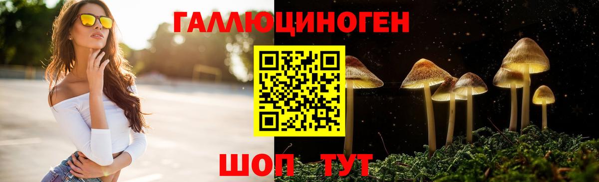 закладка  Галлюциногенные грибы GOLDEN TEACHER  Вход с VPN  Выборг  Галлюциногенные грибы Psilocybe 
